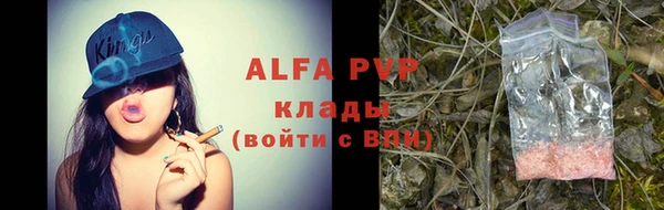 стафф Арсеньев