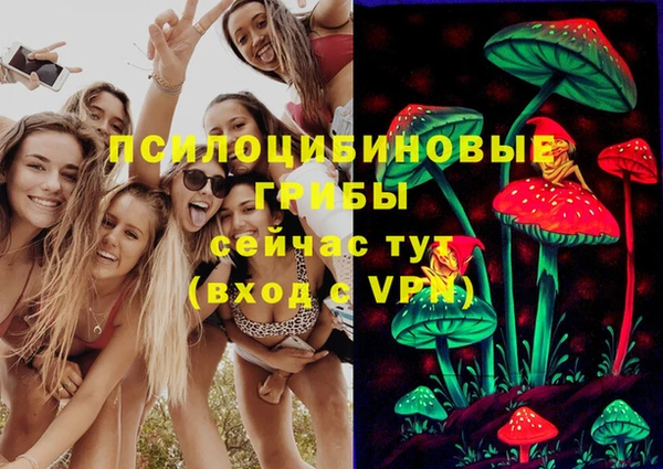 стафф Арсеньев